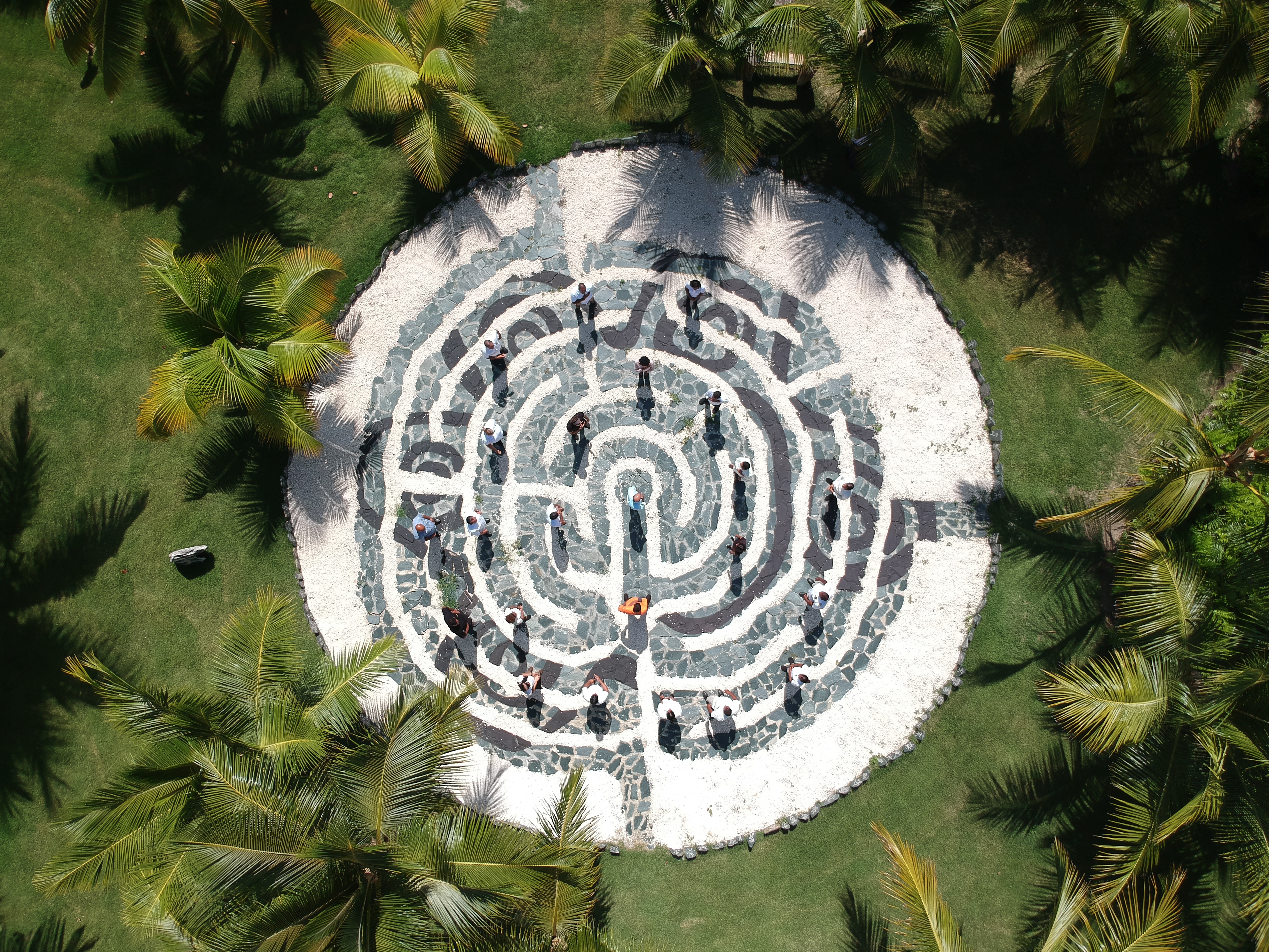 Aerial view of people navigating a stone labyrinth surrounded by palm trees.