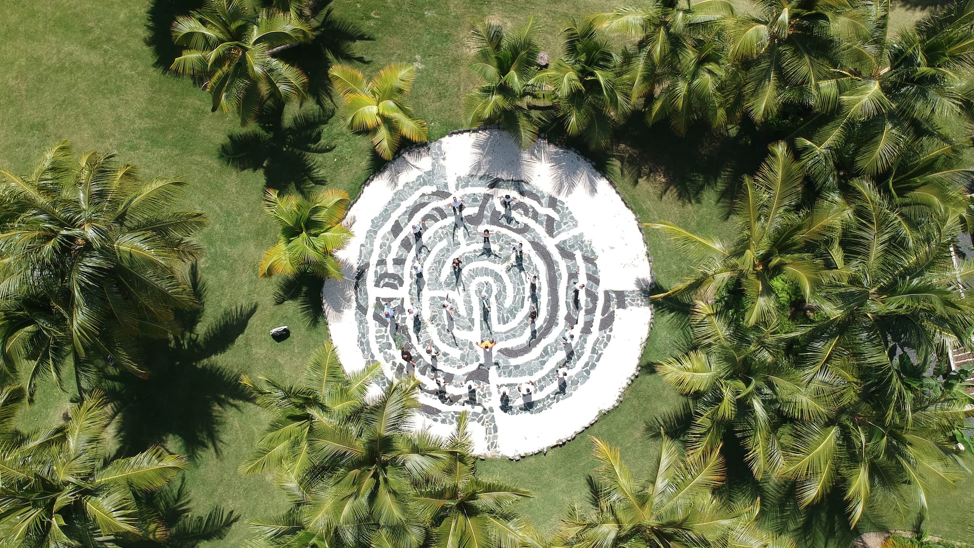 a circular maze surrounded by palm trees