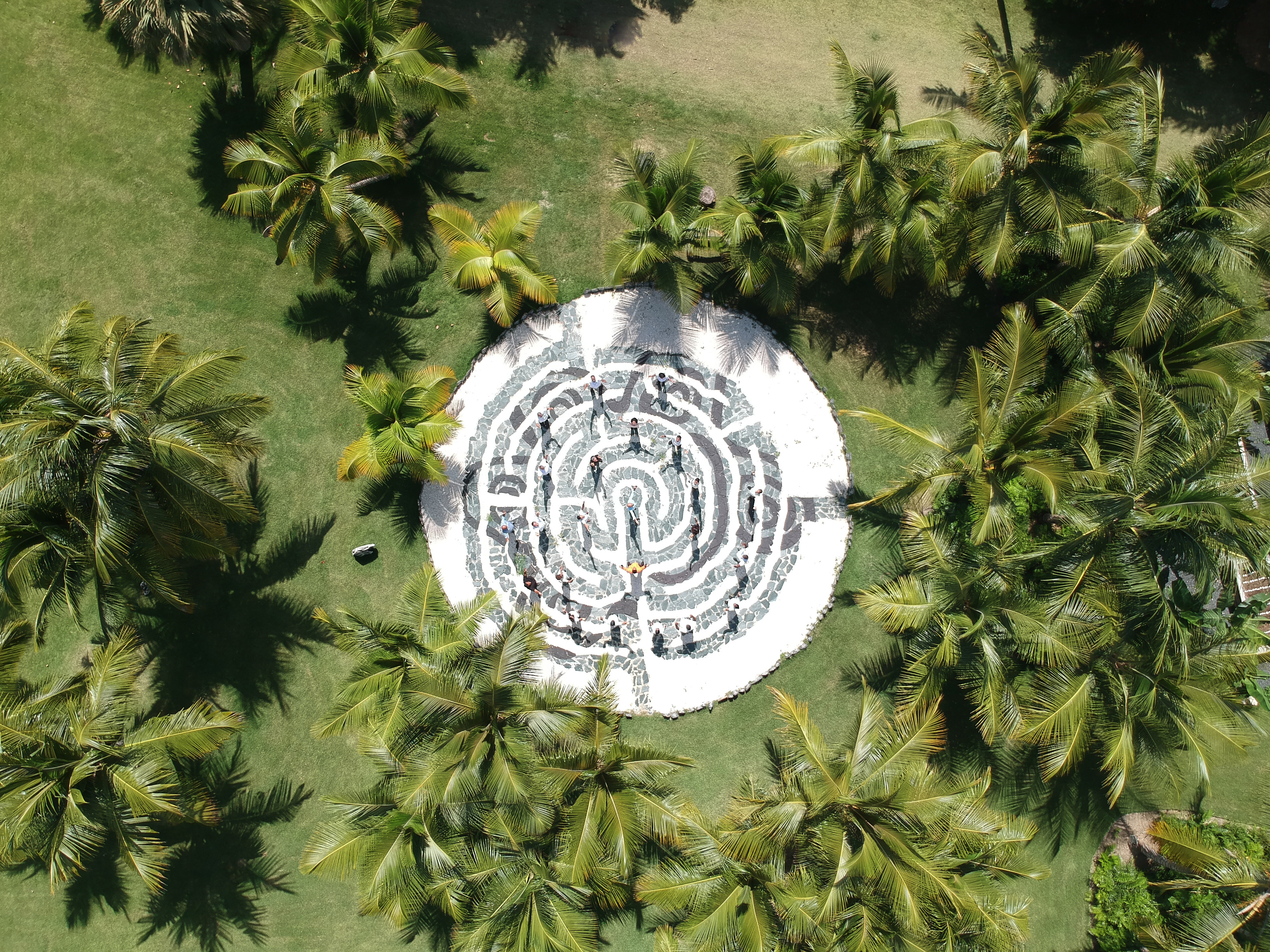 a circular maze surrounded by palm trees
