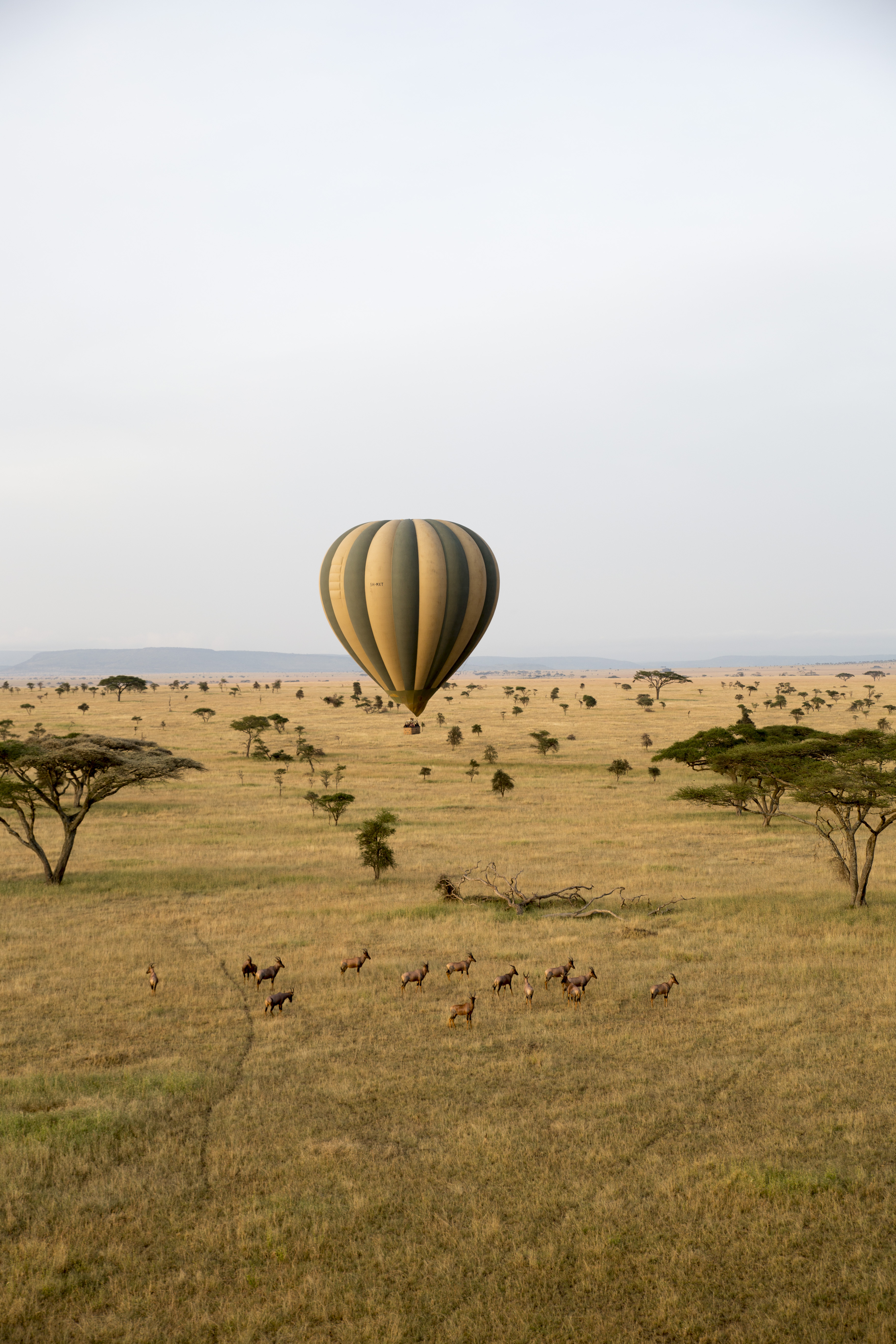 a hot air balloon in the air over a field of grass
