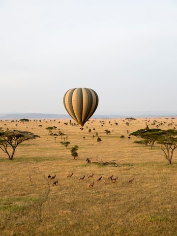 a hot air balloon in the air over a field of grass