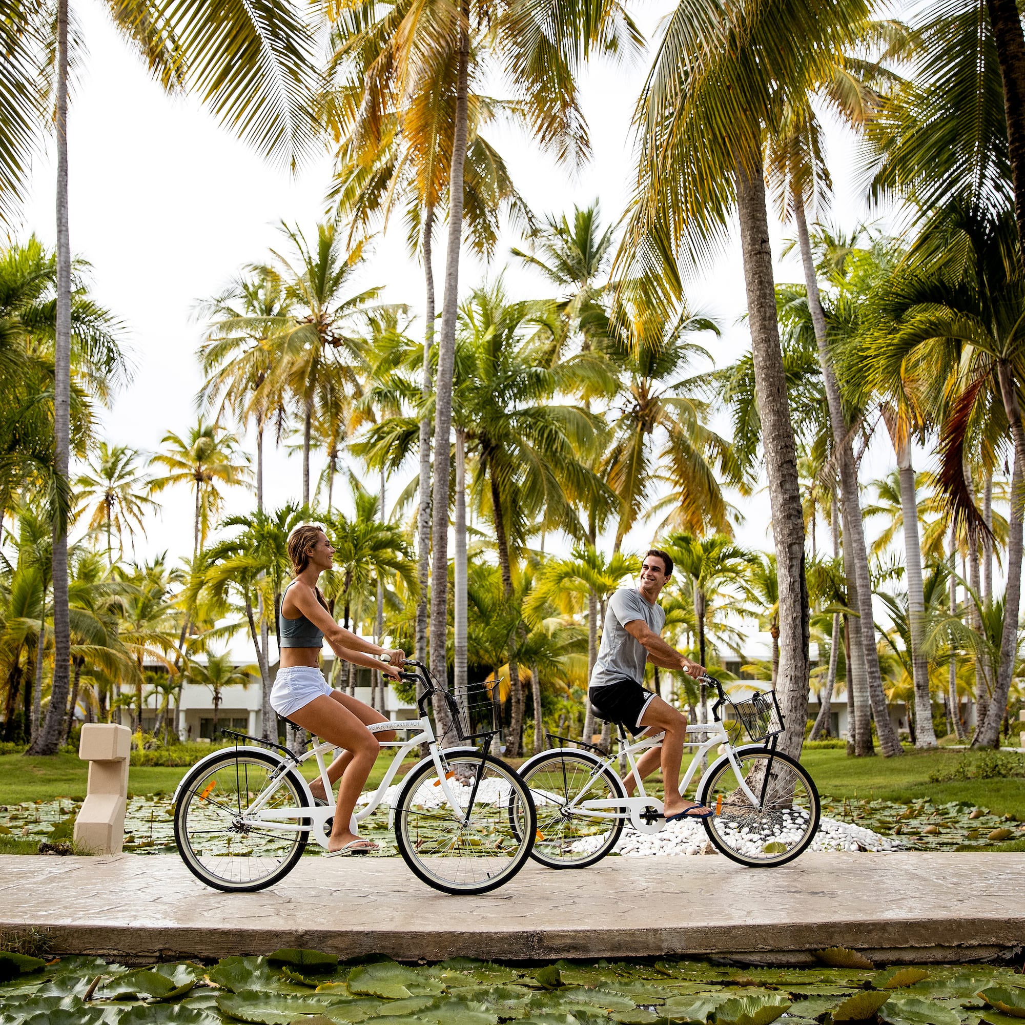a man and woman riding bicycles under palm trees