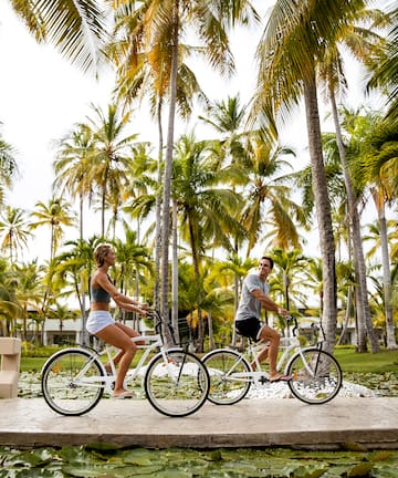 a man and woman riding bicycles under palm trees