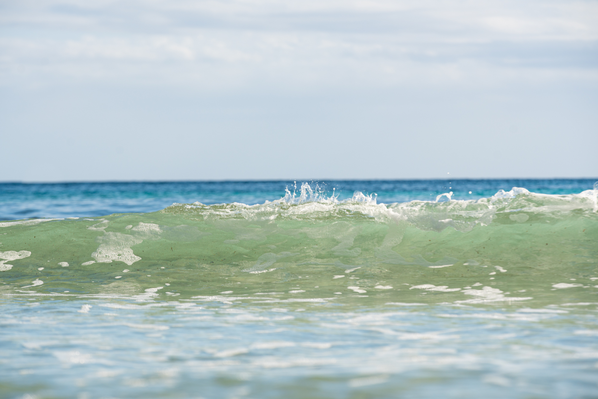 a wave in the ocean