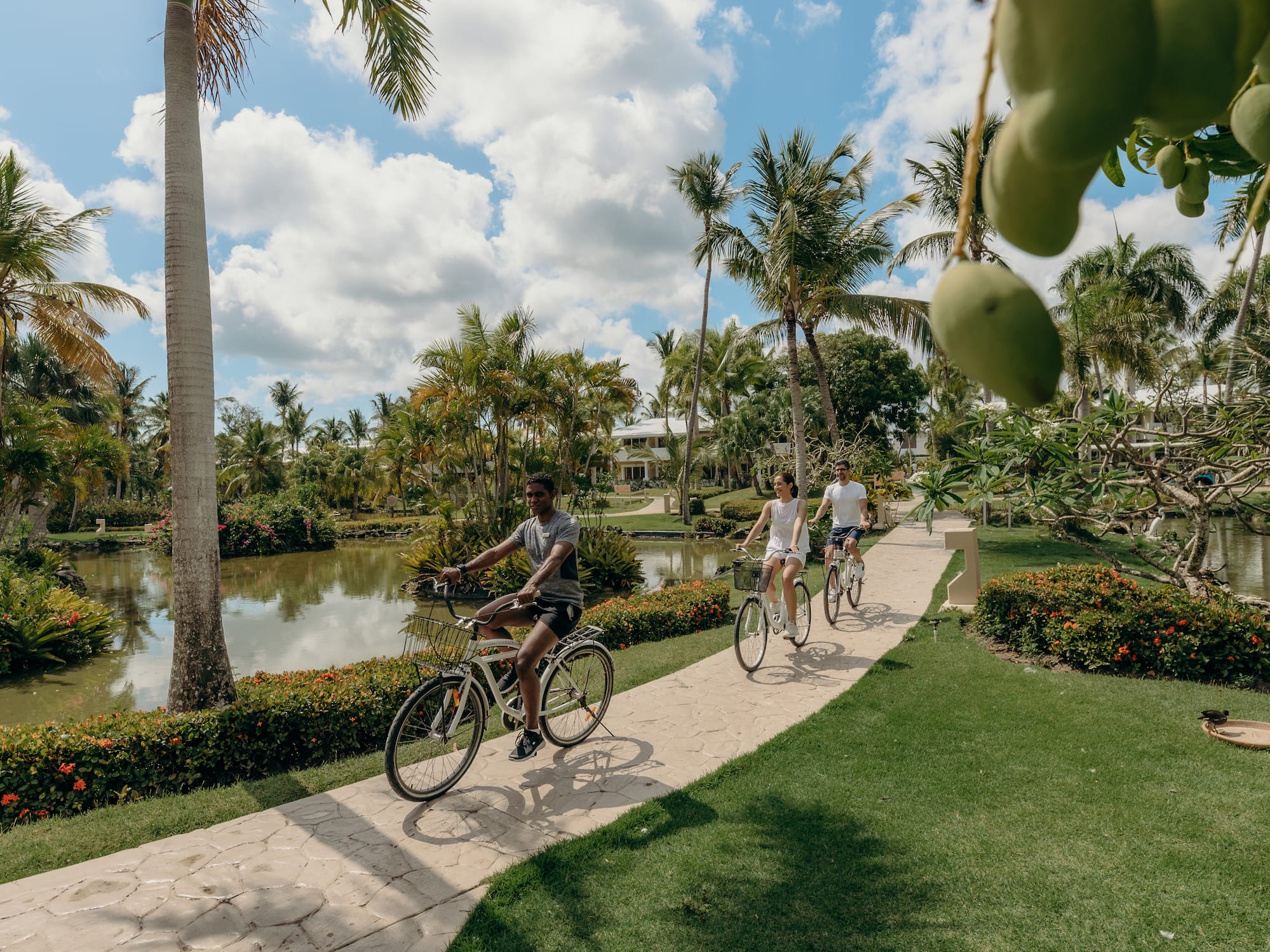 people riding bicycles on a path in a park