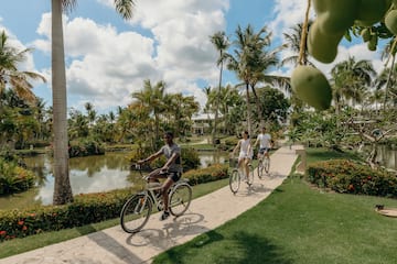 people riding bicycles on a path in a park