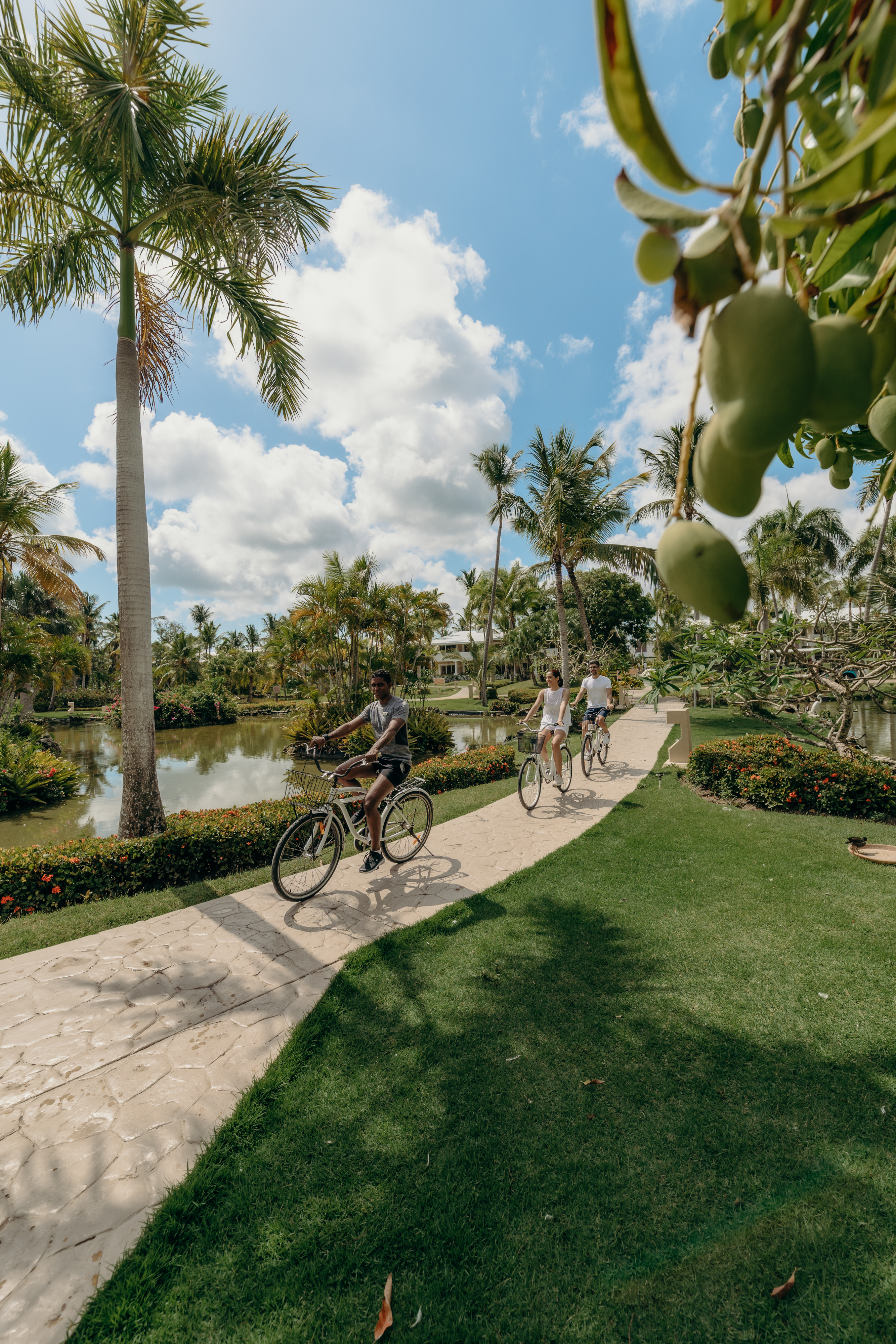 people riding bicycles on a path in a park