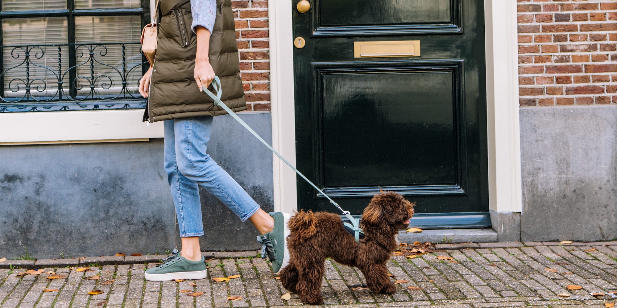 a woman walking a dog on a leash