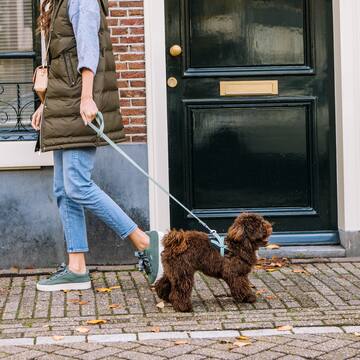 a woman walking a dog on a leash