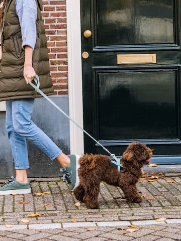 a woman walking a dog on a leash