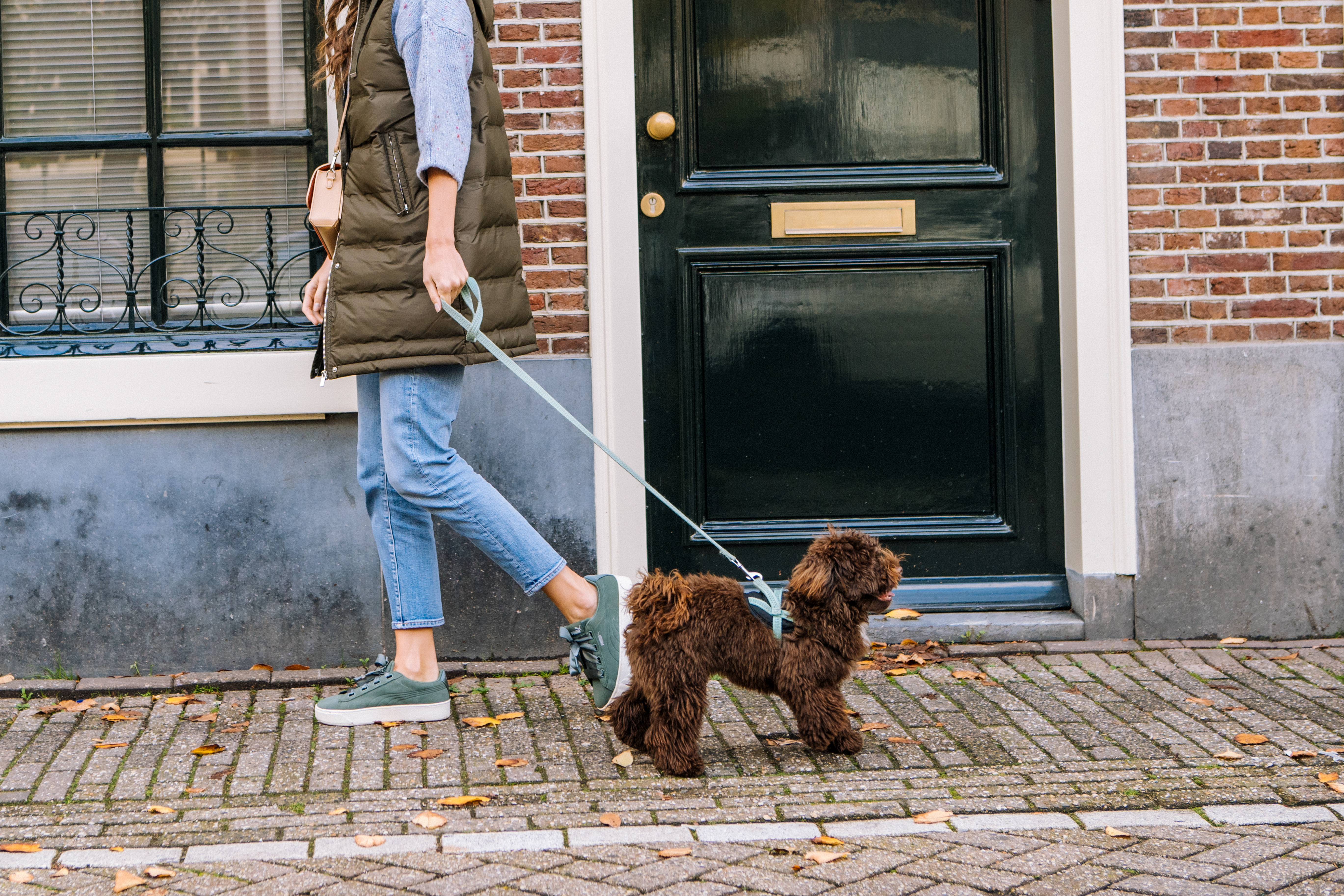Woman walking brown fluffy dog on leash on autumn street.