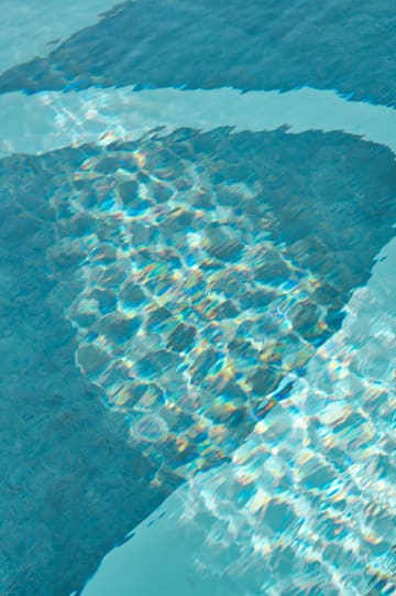 a pool with a rock in it