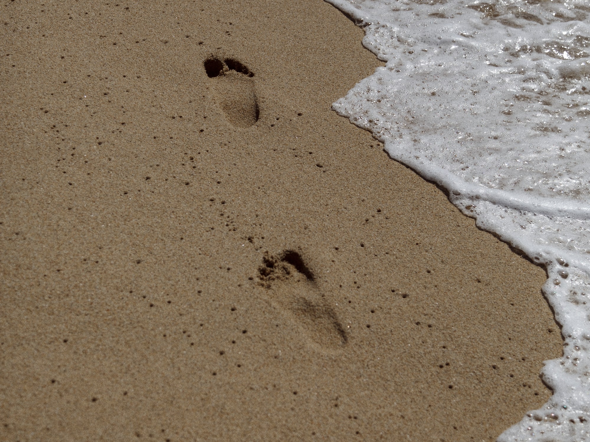 footprints in the sand