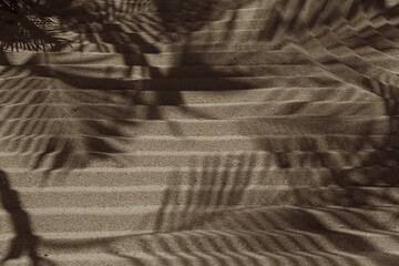 shadows on sand