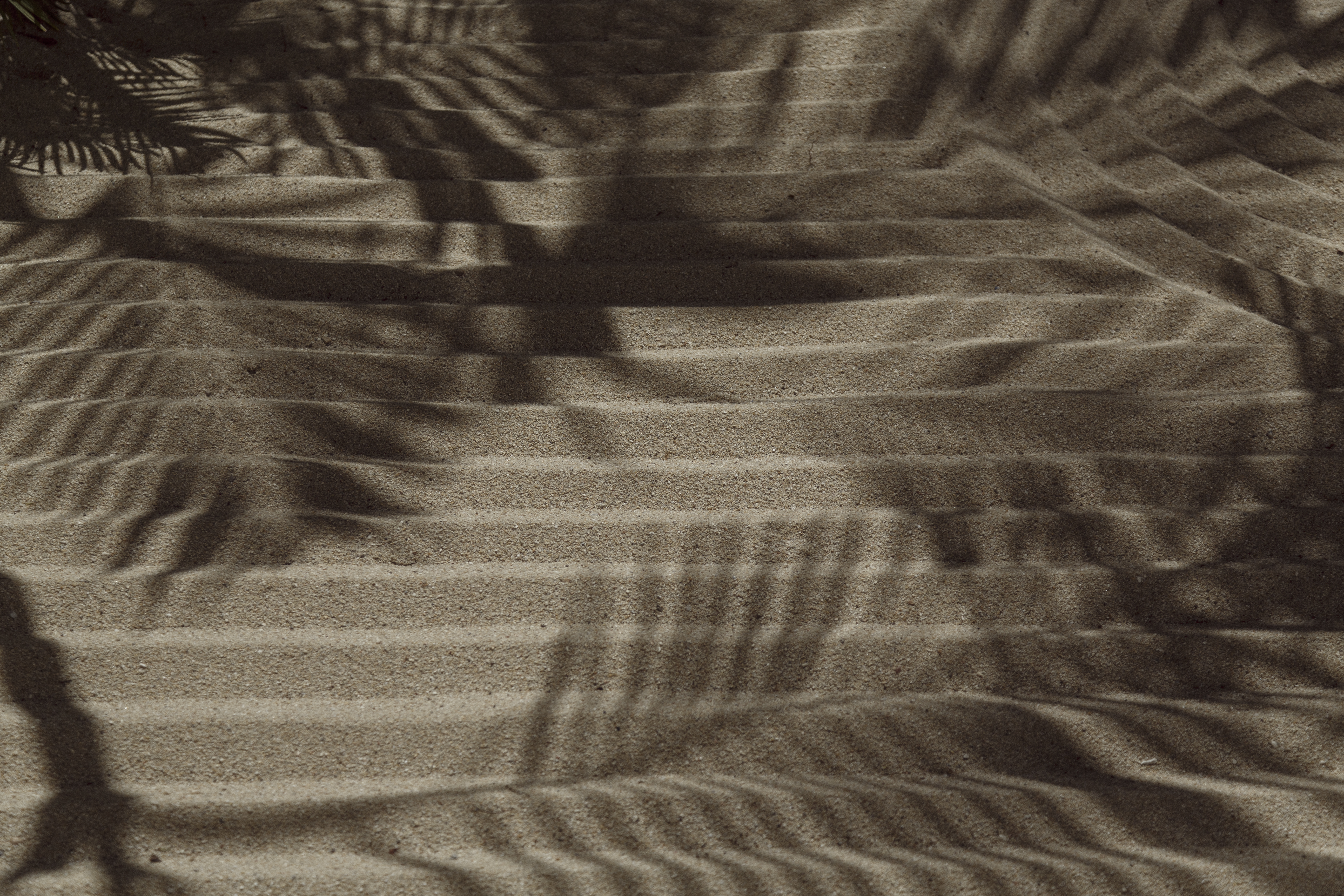 shadows on sand