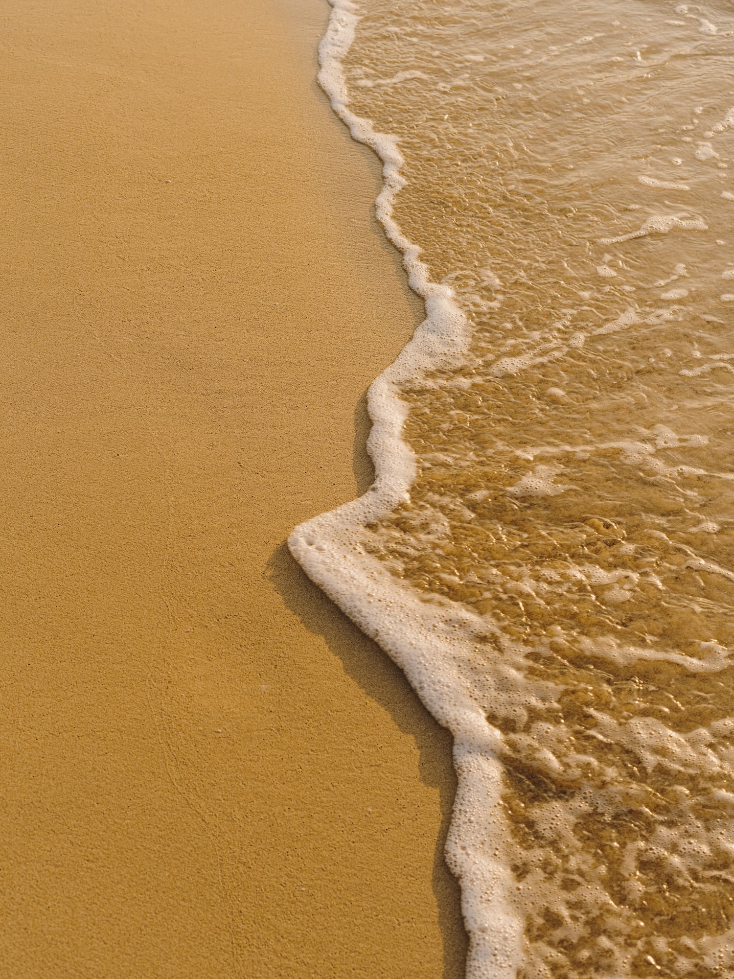 a close up of a beach