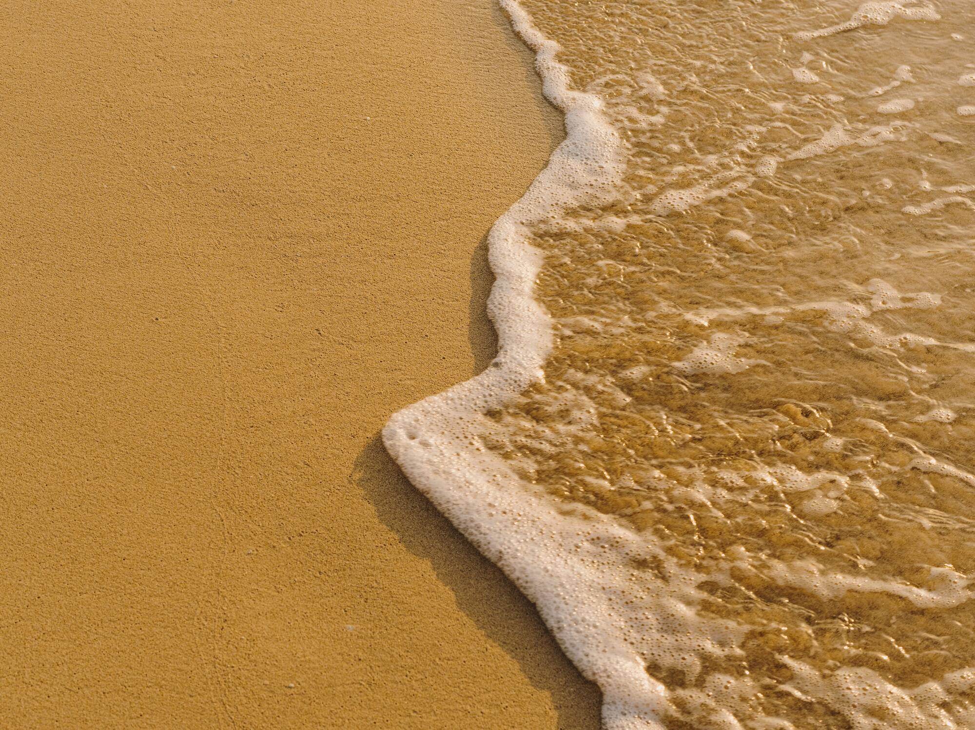 a close up of a beach