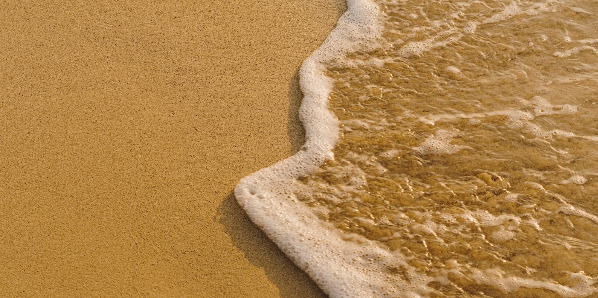 a close up of a beach