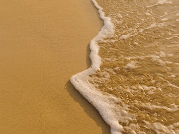 a close up of a beach