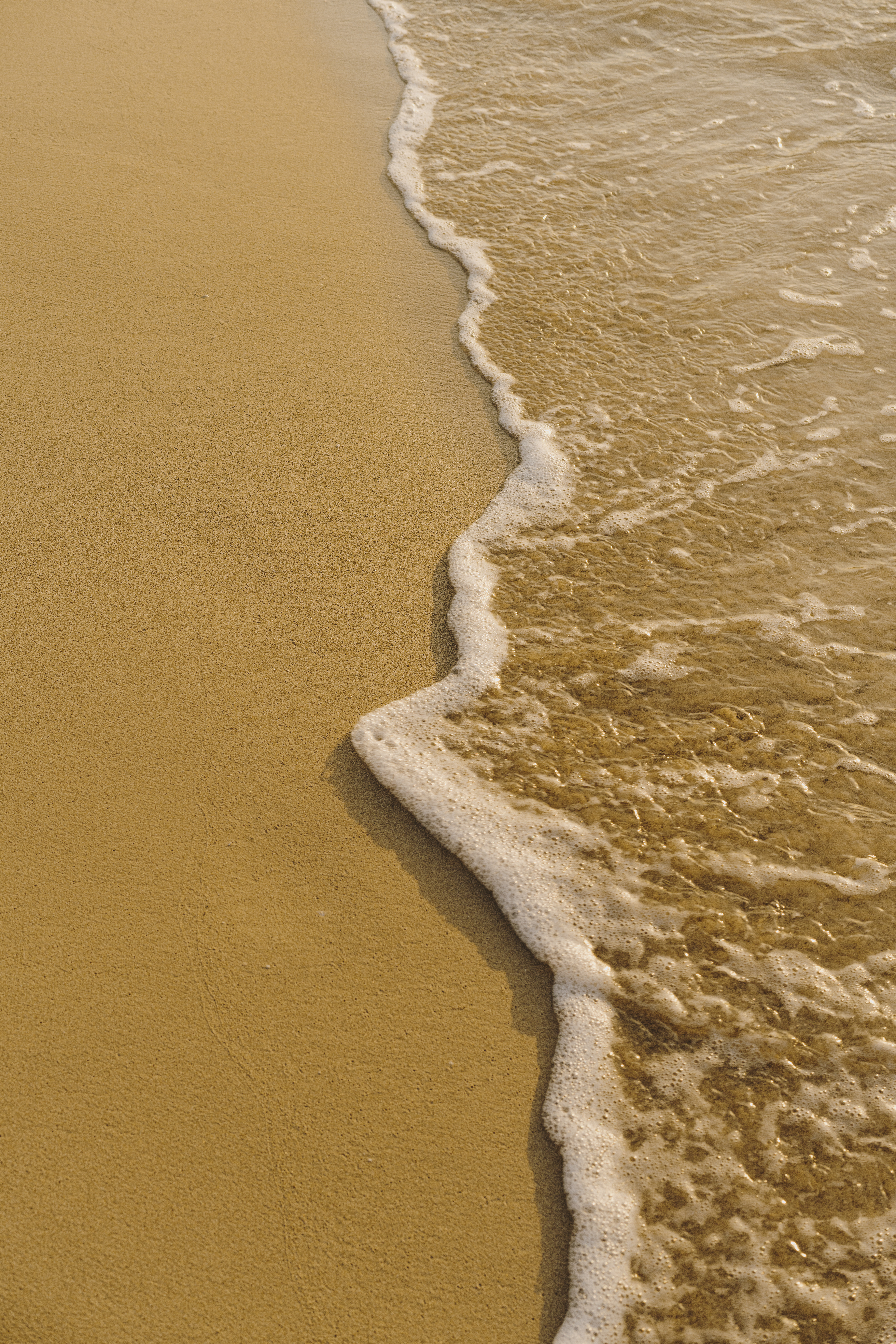 a close up of a beach