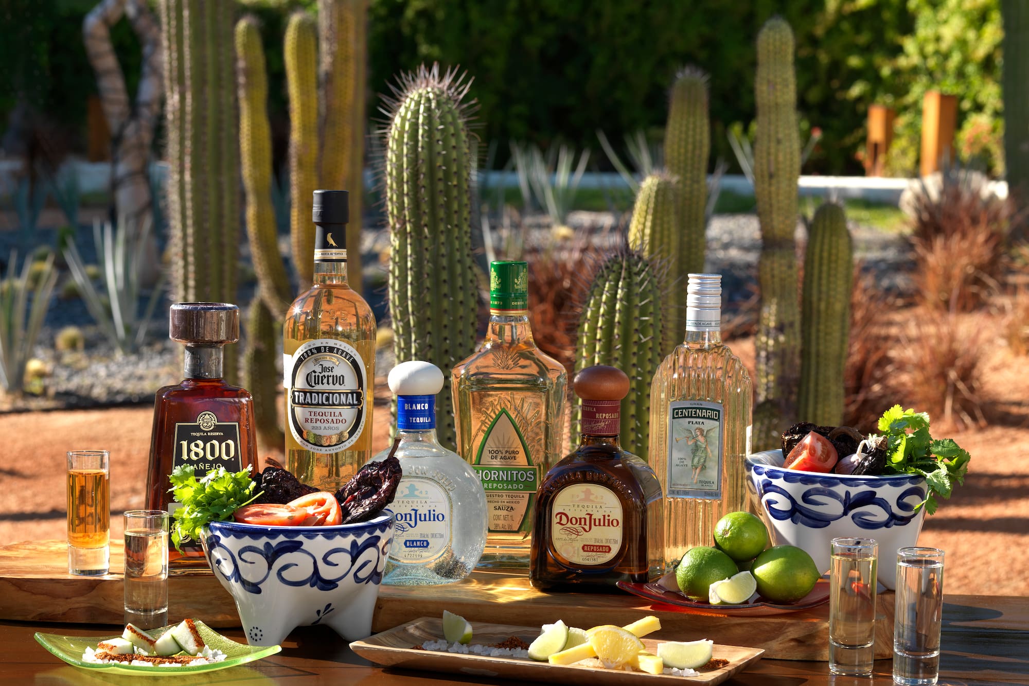 a table with bottles of alcohol and cactus
