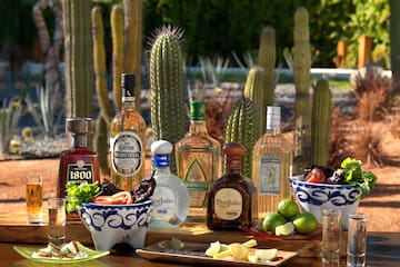 a table with bottles of alcohol and cactus