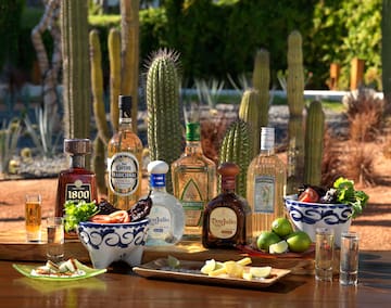 a table with bottles of alcohol and cactus