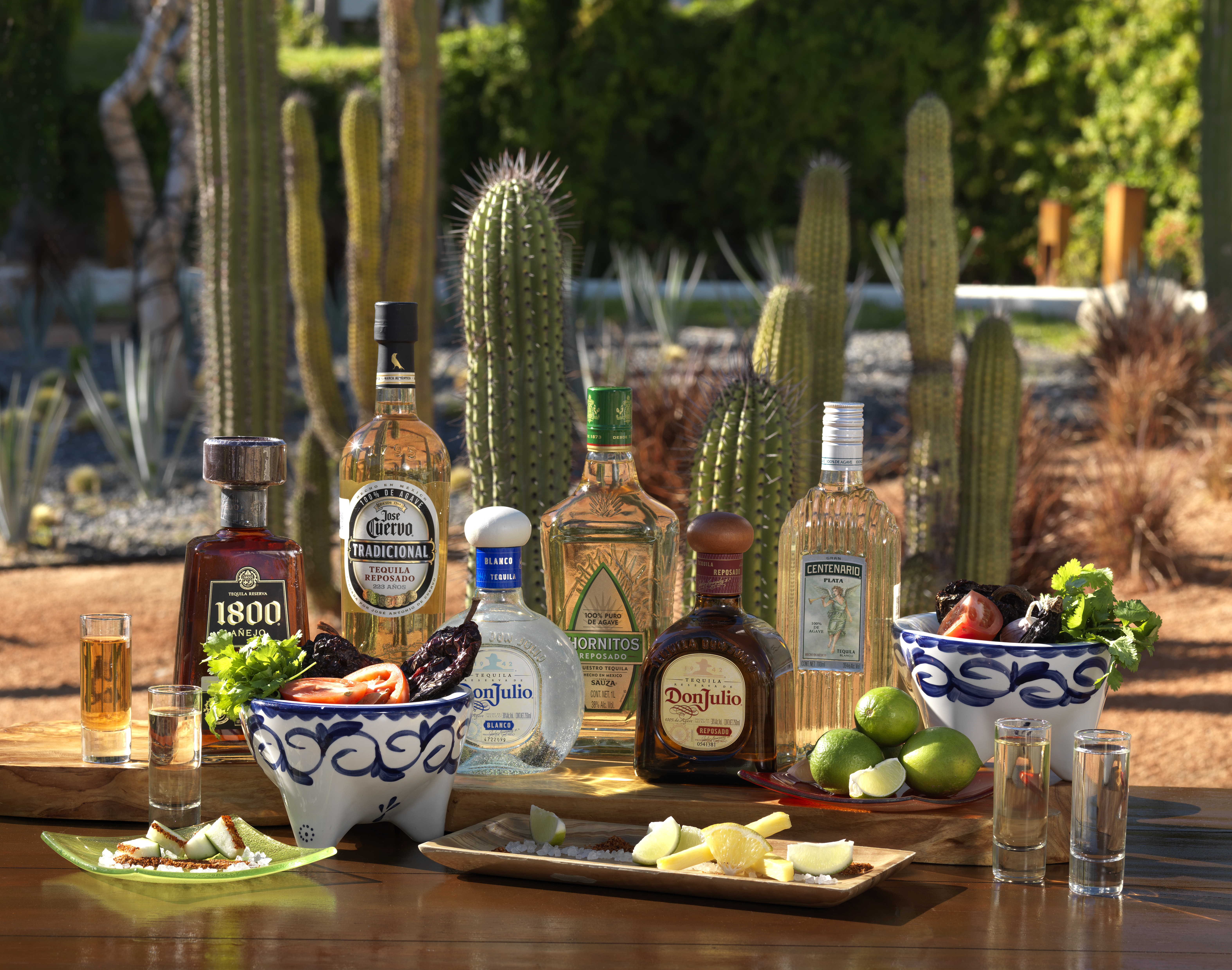 a table with bottles of alcohol and cactus