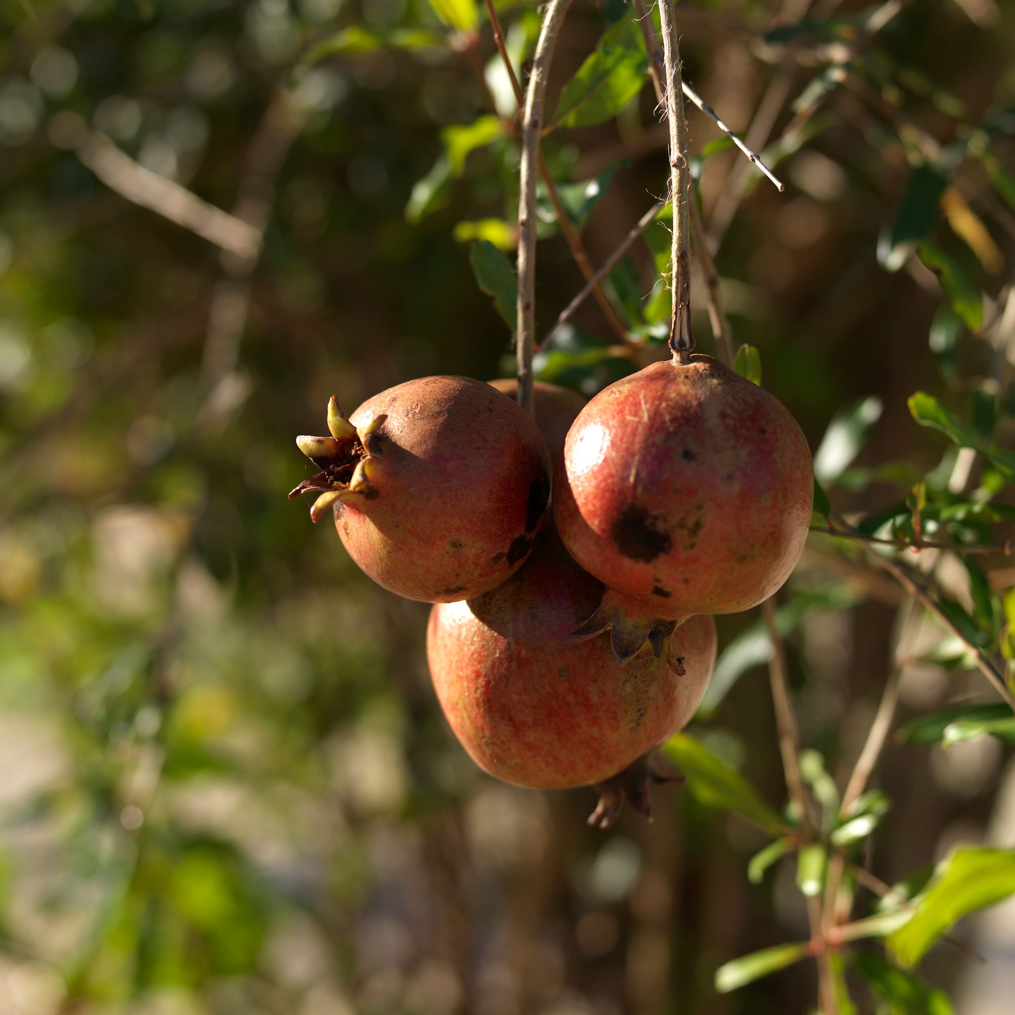 a white background with black and white clouds