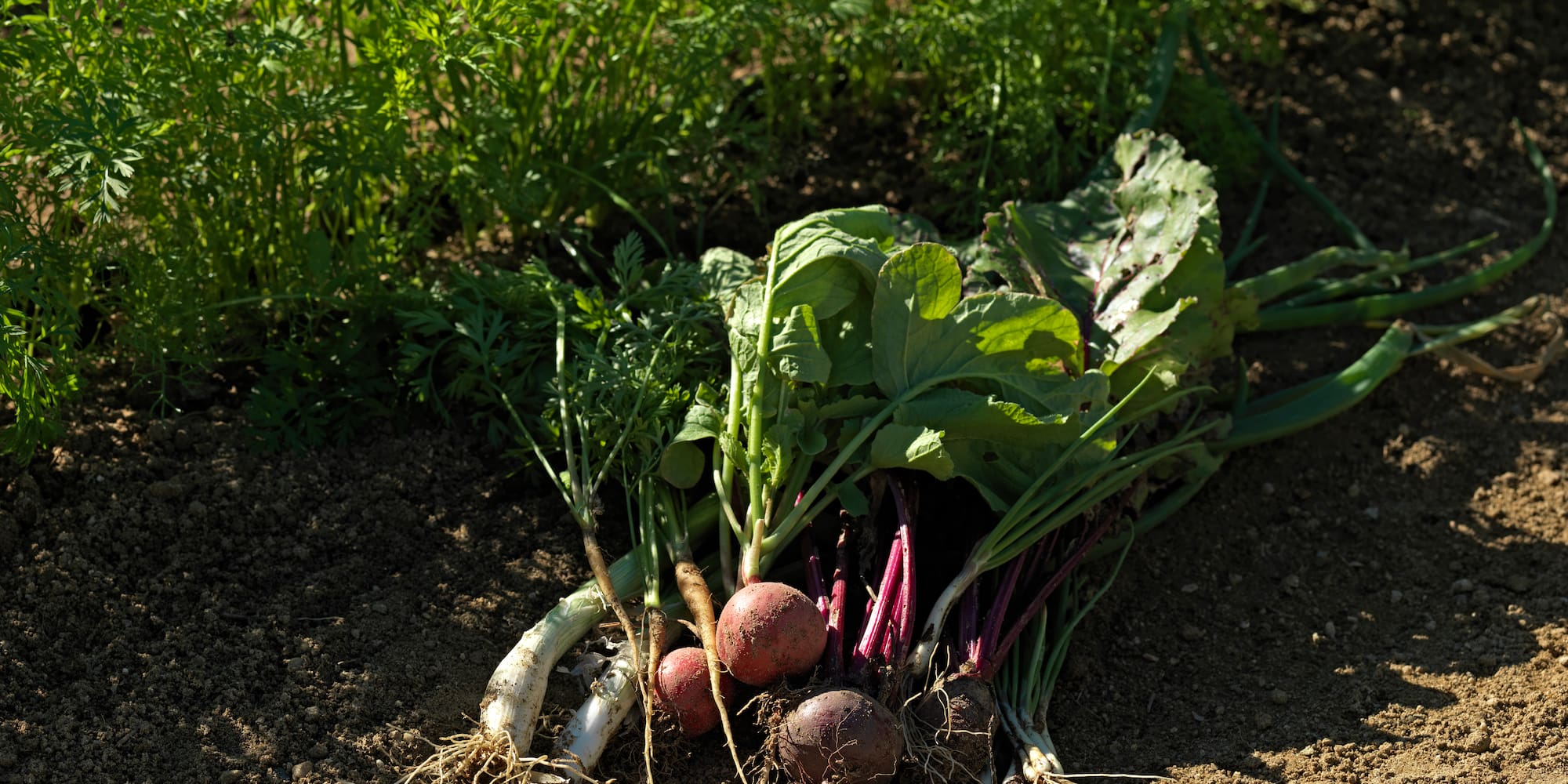 a white background with black and white clouds