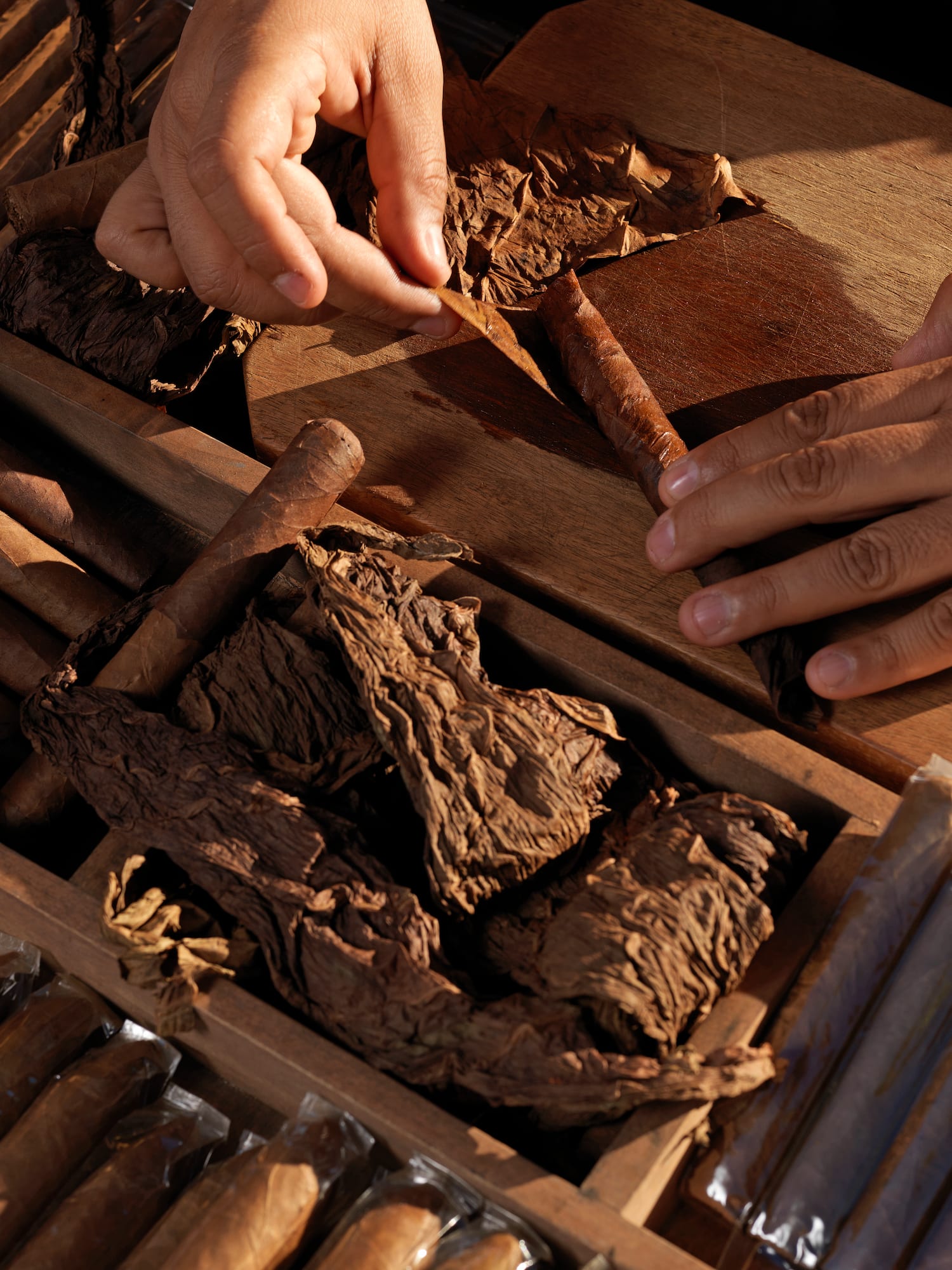 hands rolling cigars in a box