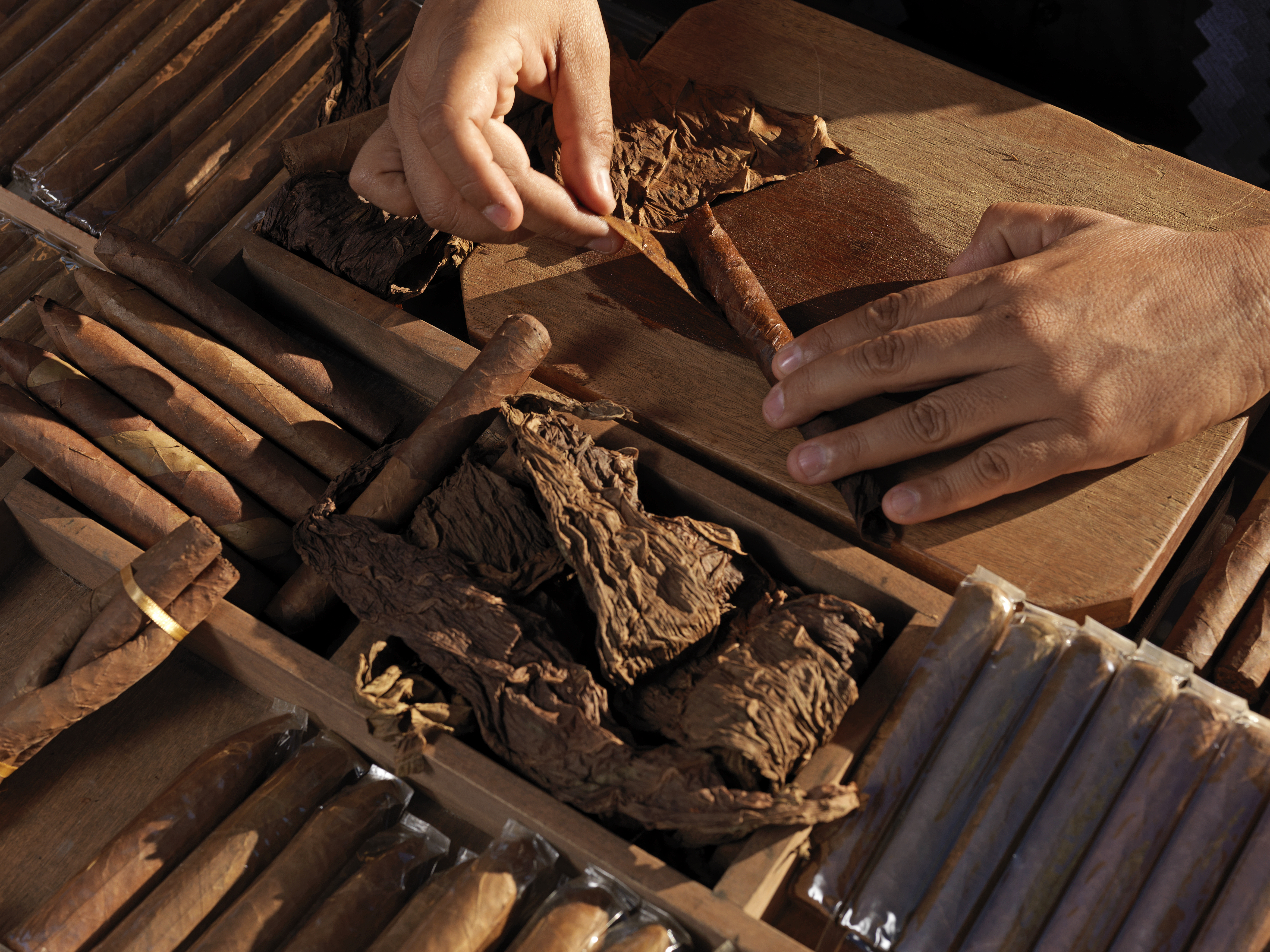 hands rolling cigars in a box