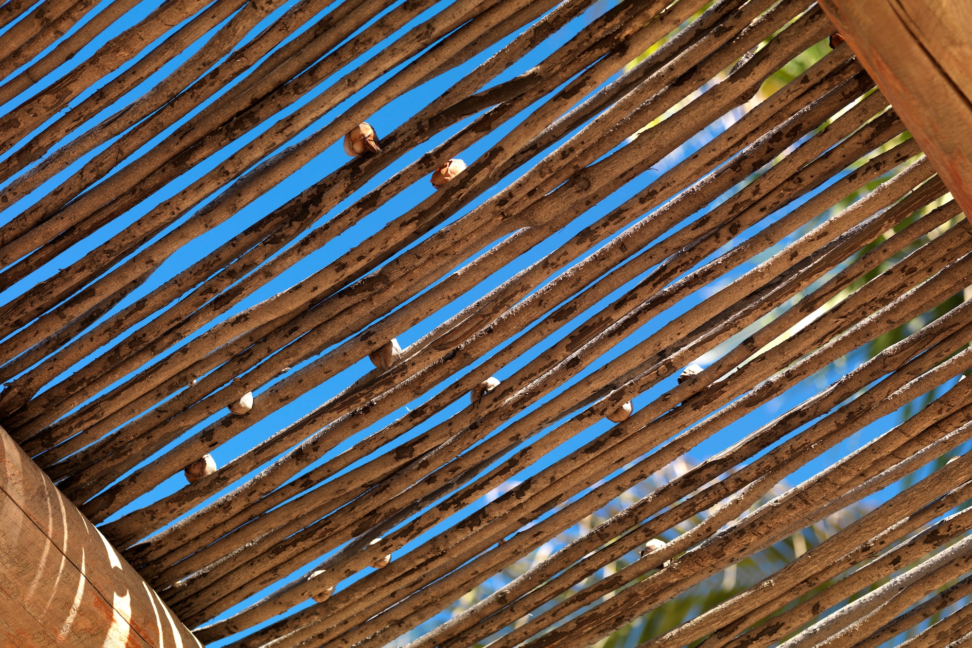 a wooden structure with sticks