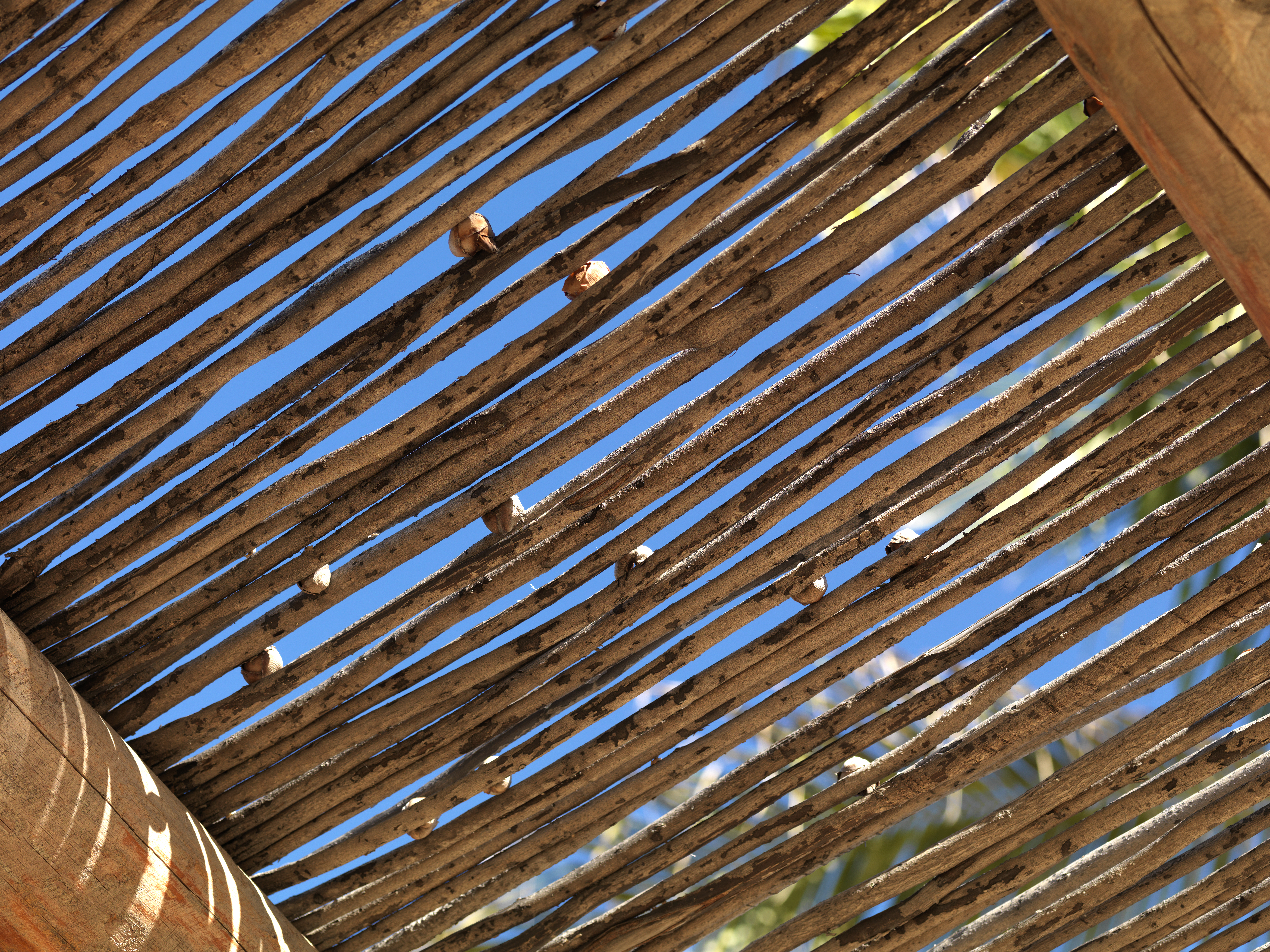 a wooden structure with sticks