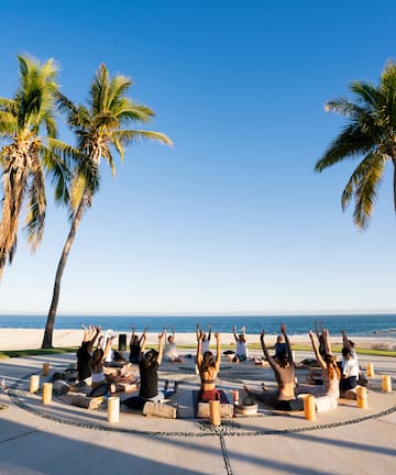 a group of people sitting in a circle with palm trees on a beach