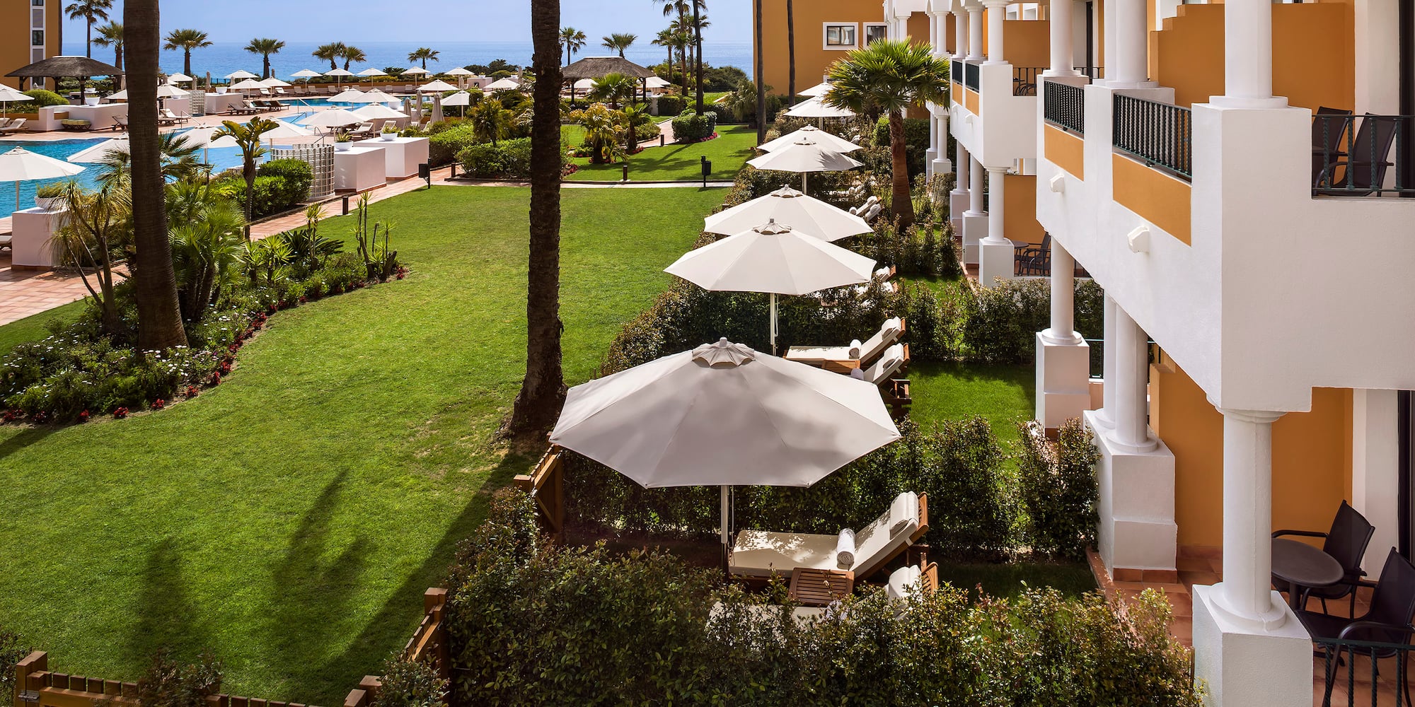 a lawn with umbrellas and chairs in a row