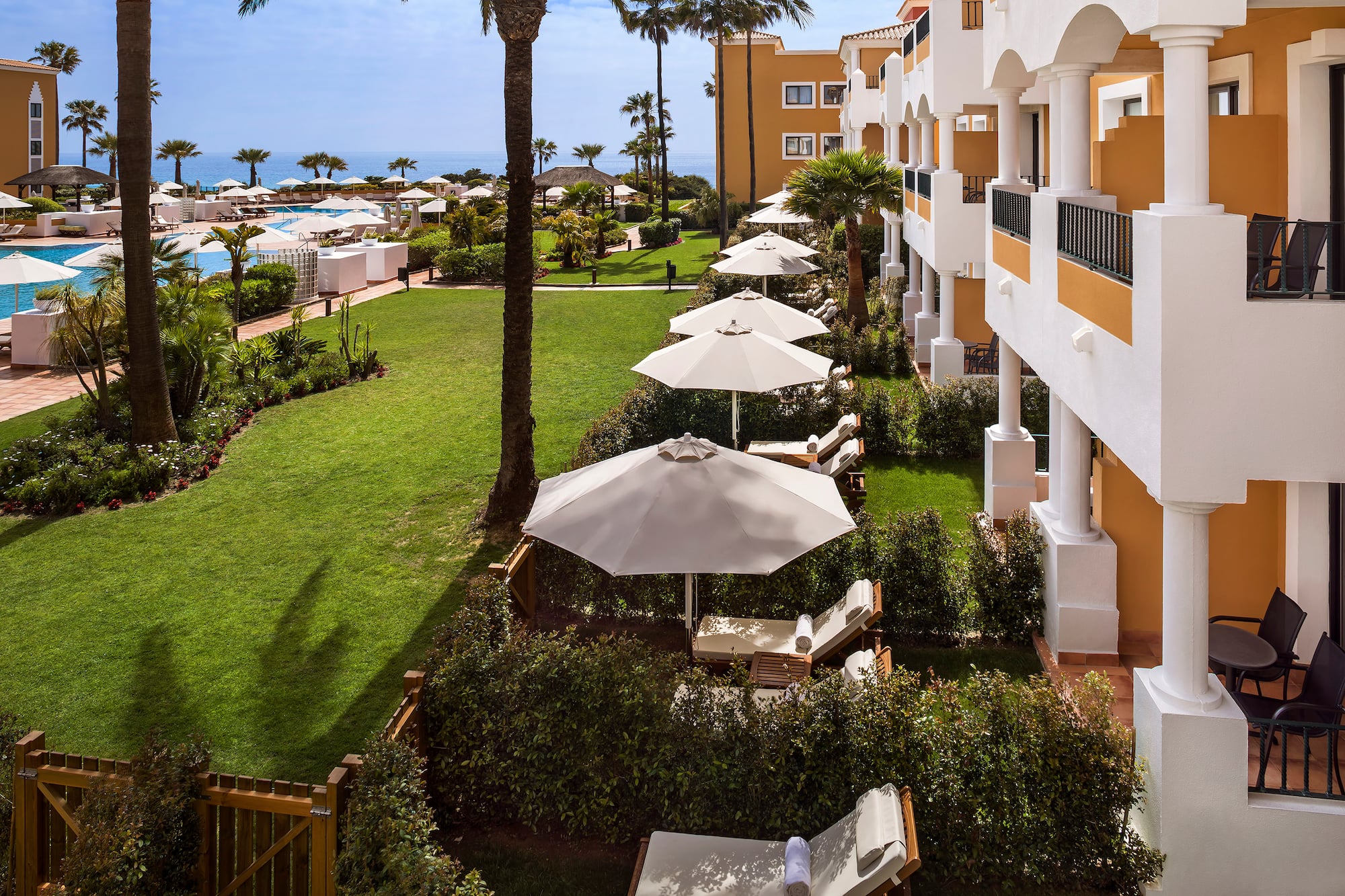 a lawn with umbrellas and chairs in a row