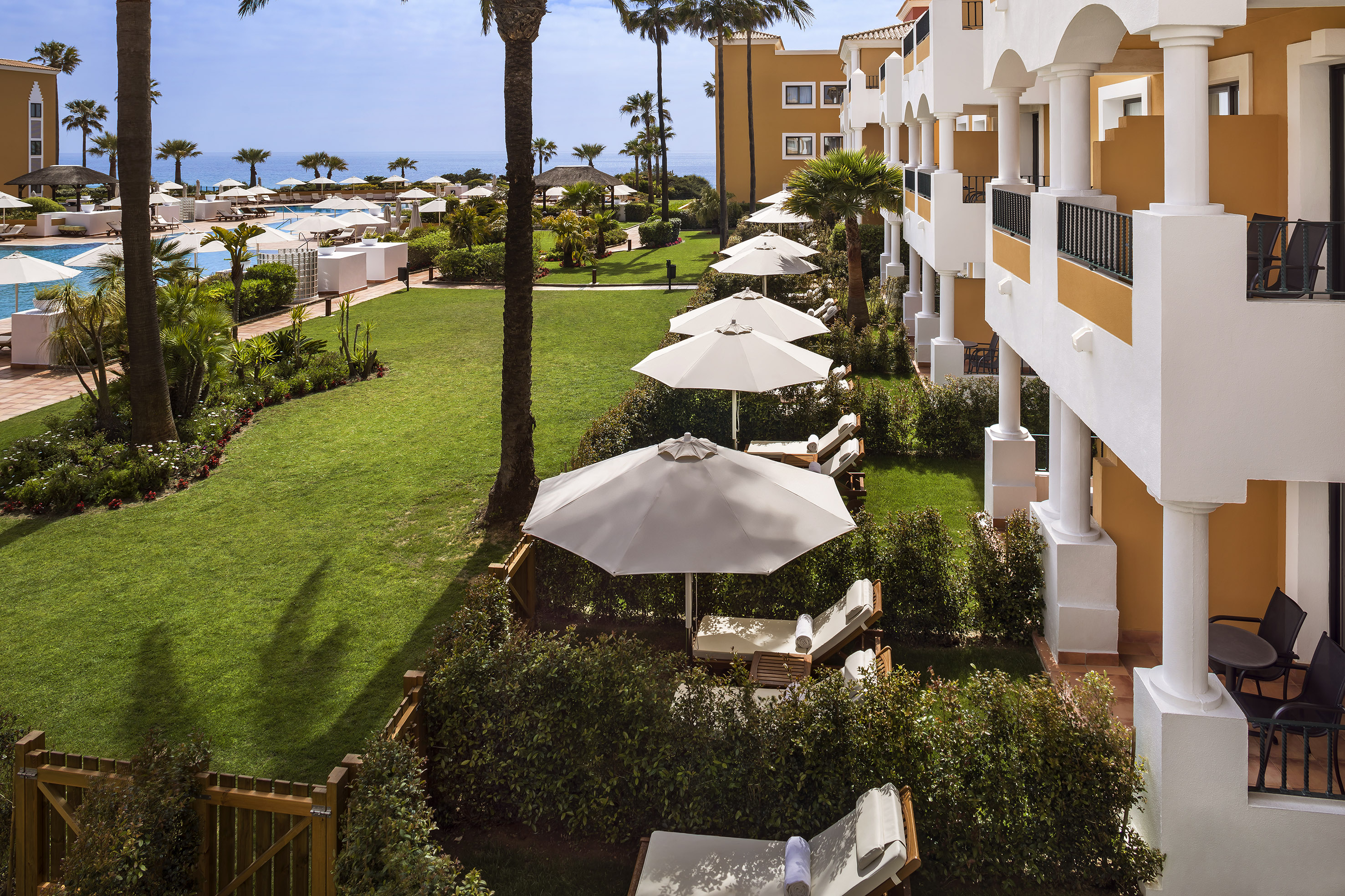 a lawn with umbrellas and chairs in a row