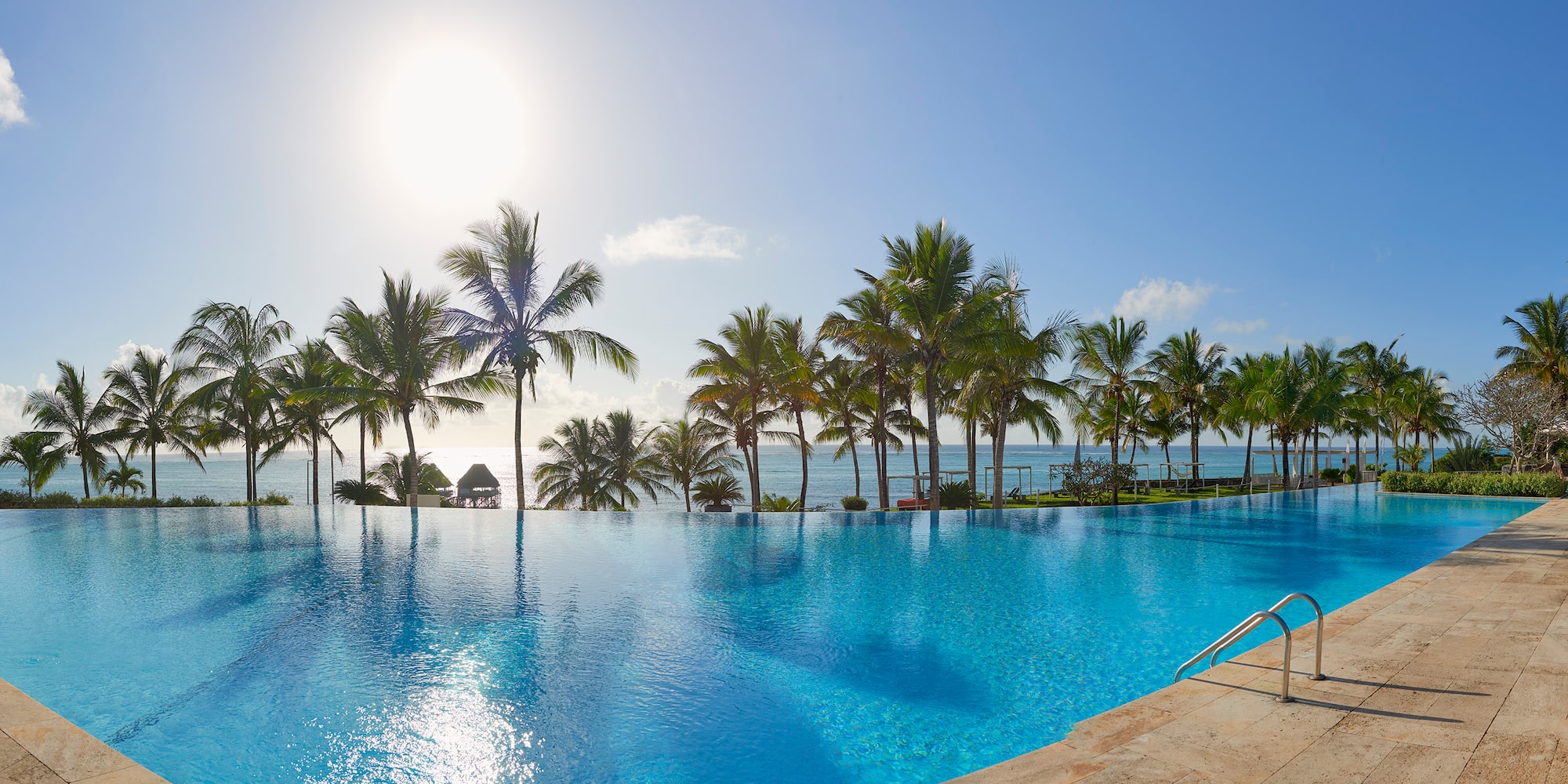 a pool with palm trees and a body of water