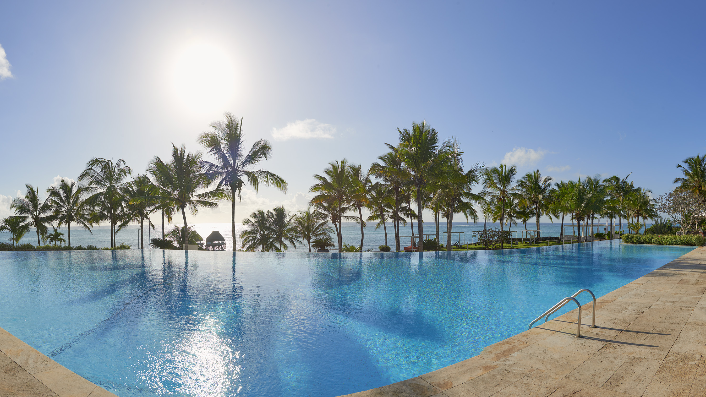 Infinity pool with ocean view and tropical palm trees under a bright sunny sky.