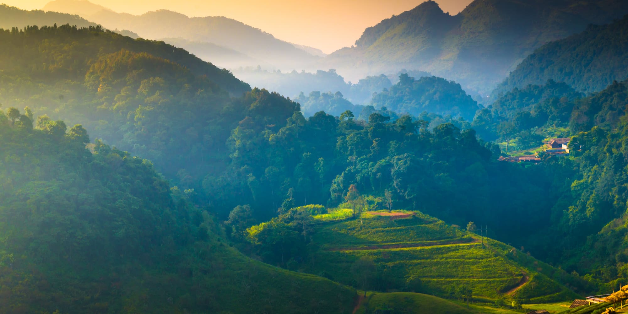 a green hills with trees and a sunset