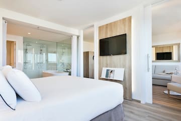a bedroom with a tv and a bathtub