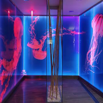 a room with a glass wall and jellyfish