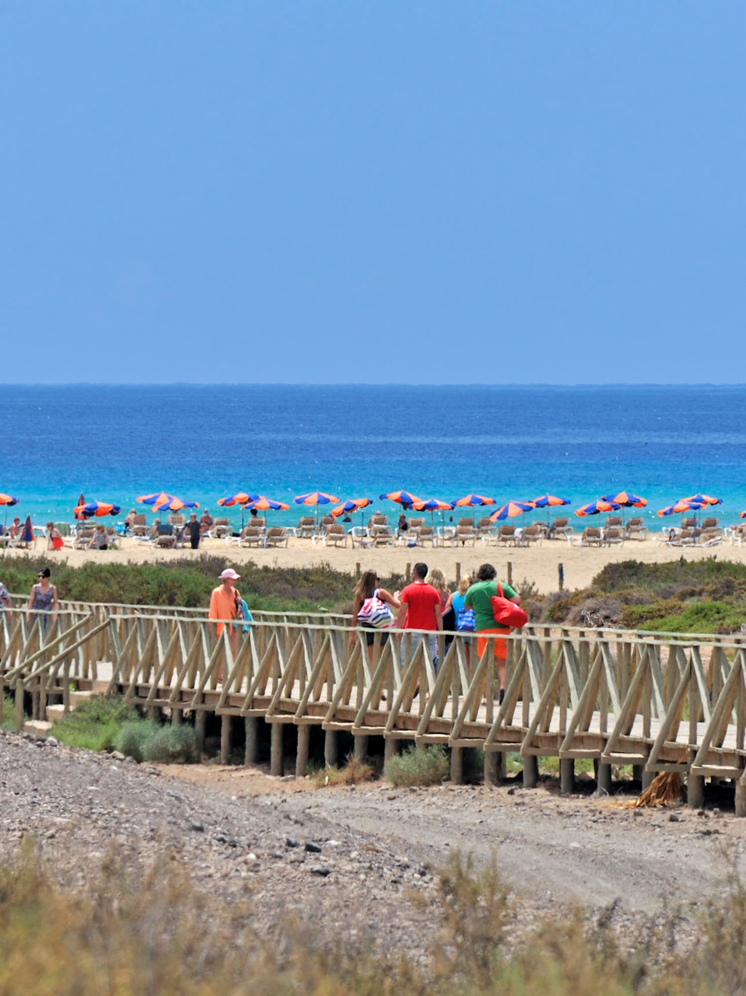 a group of people walking on a boardwalk
