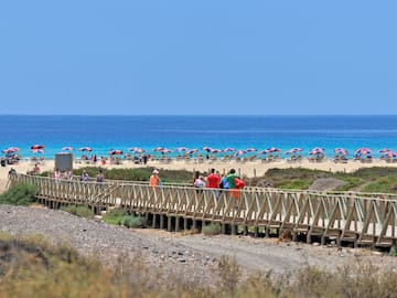 a group of people walking on a boardwalk