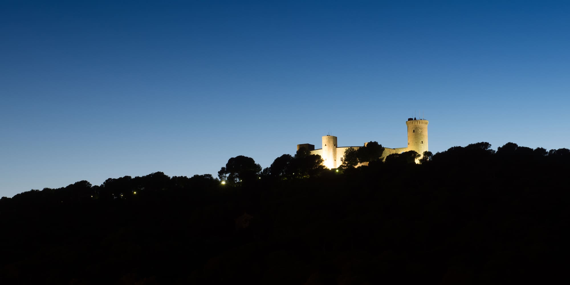 Castle illuminated at night atop a dark, tree-covered hill.