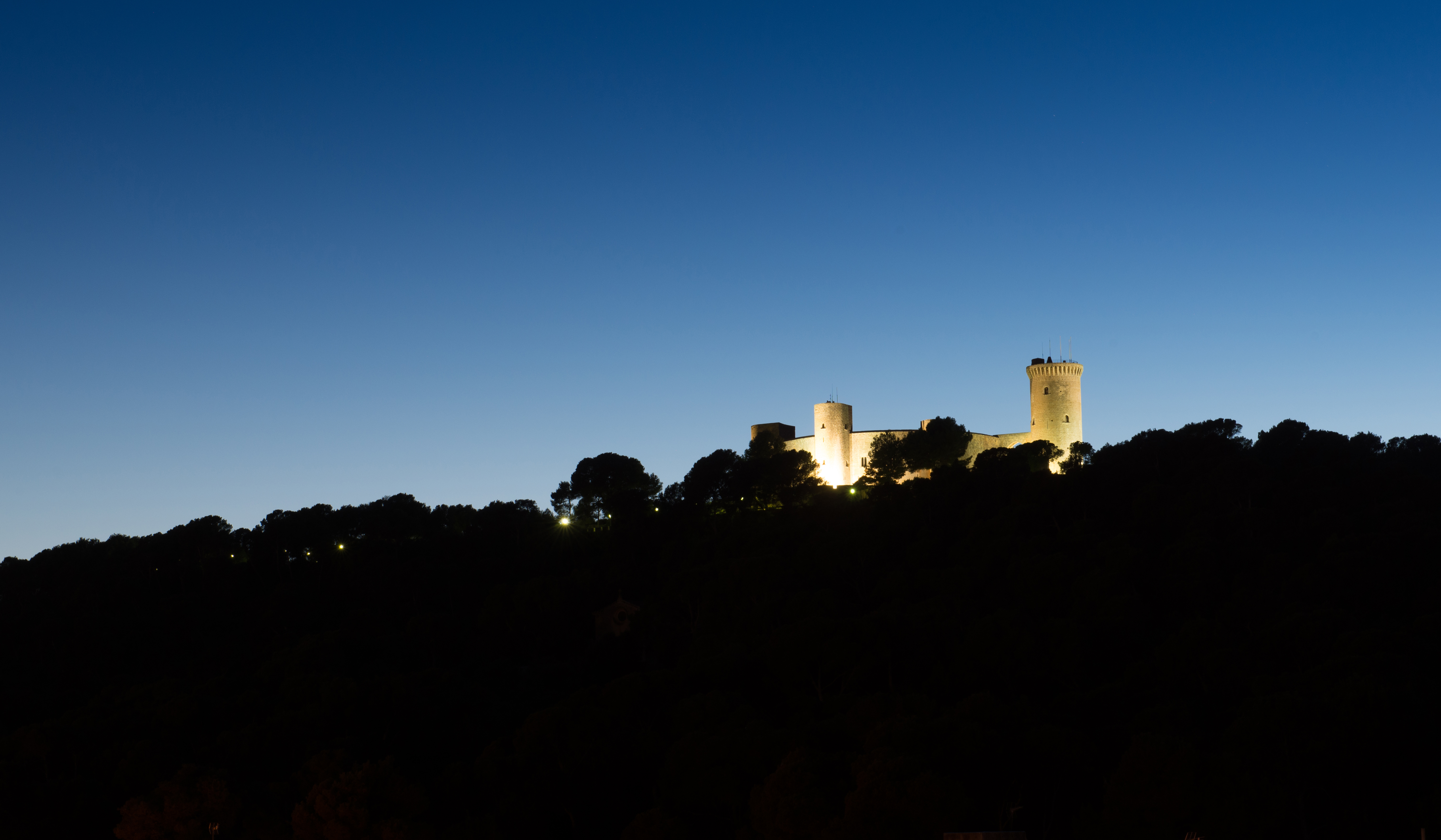 Castle illuminated at night atop a dark, tree-covered hill.