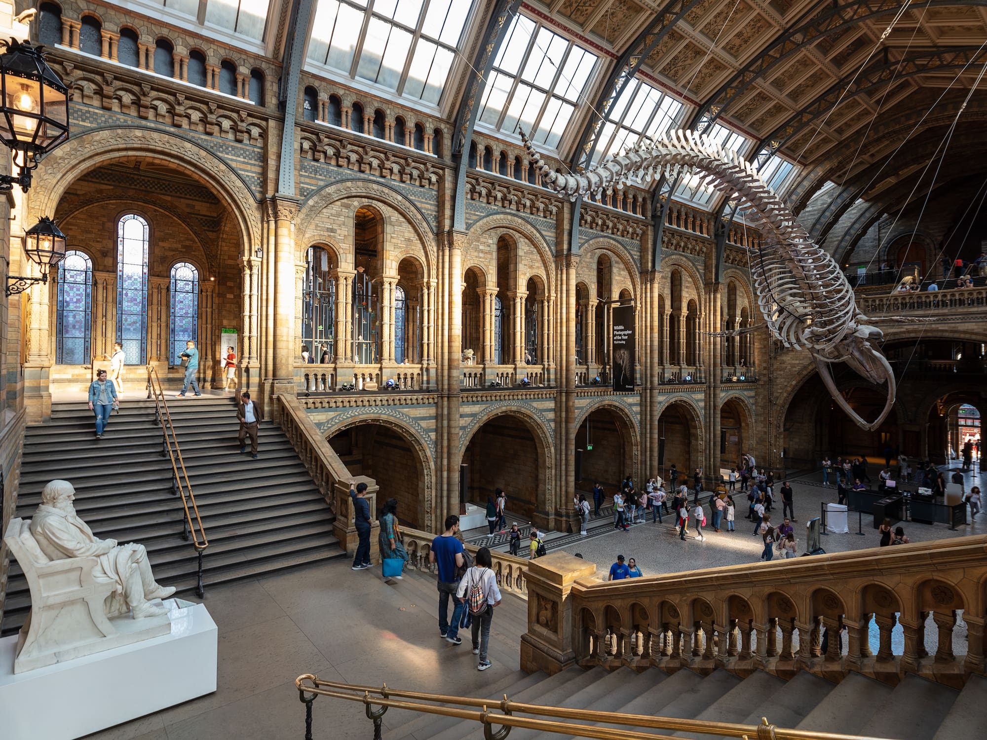 A large building adorned with numerous stairs, bustling with people, stands behind the Natural History Museum.
