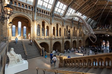 A large building adorned with numerous stairs, bustling with people, stands behind the Natural History Museum.