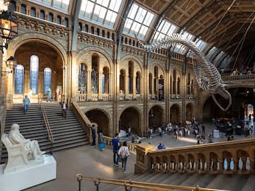 A big building filled with many stairs, bustling with people, features the Natural History Museum in the background.
